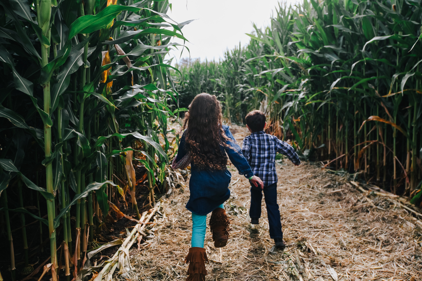 Homeschool kids running through corn maze